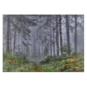 Misty Forest on Ashley Heath, Hampshire, England Schneidebrett