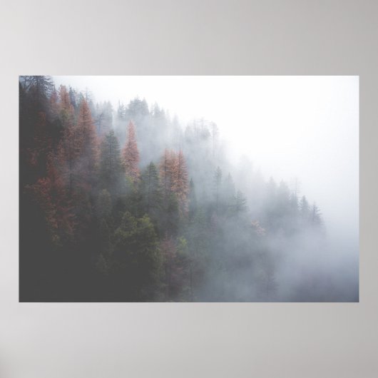 Misty Forest Poster (Vorne)