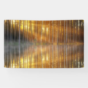 Misty Forest Scene Banner