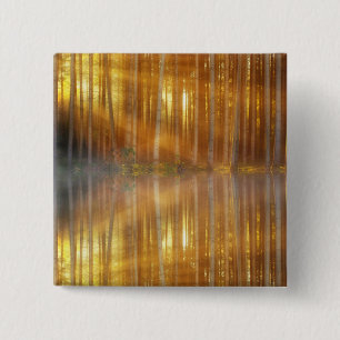 Misty Forest Scene Button