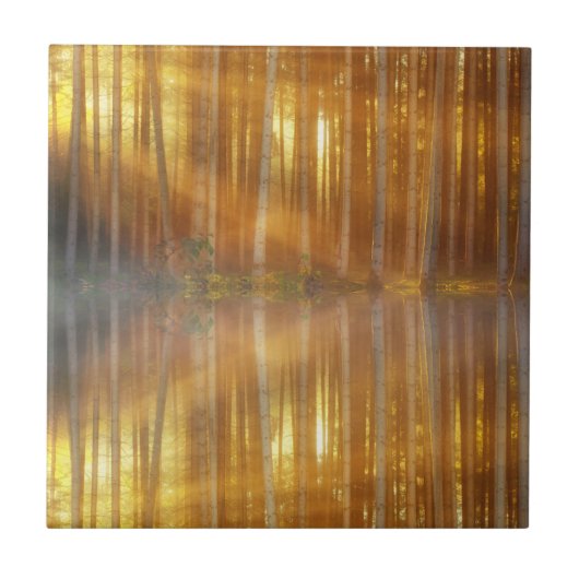 Misty Forest Scene Fliese (Vorderseite)