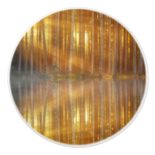 Misty Forest Scene Keramikknauf