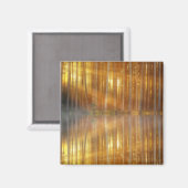 Misty Forest Scene Magnet (Vorderseite/Rückseite)