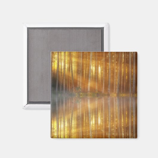 Misty Forest Scene Magnet (Vorderseite/Rückseite)