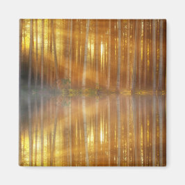 Misty Forest Scene Magnet