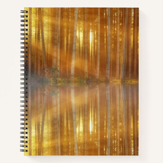 Misty Forest Scene Notizblock (Vorderseite)
