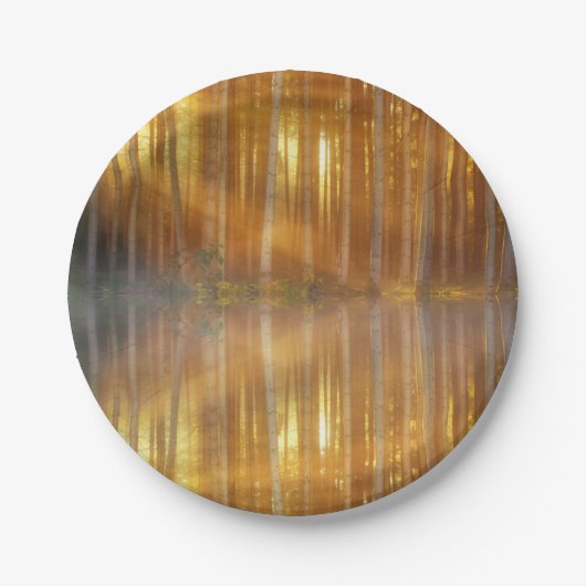 Misty Forest Scene Pappteller (Vorderseite)