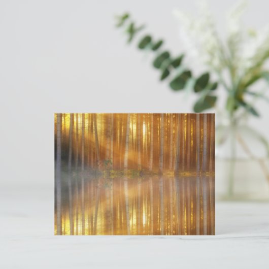 Misty Forest Scene Postkarte (Stehend Vorderseite)