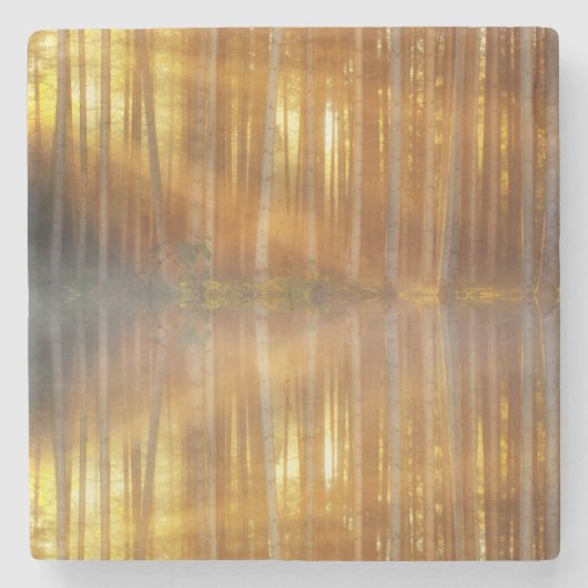 Misty Forest Scene Steinuntersetzer (Vorderseite)