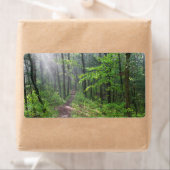 Misty Forest Trail auf dem Burg (Insitu)