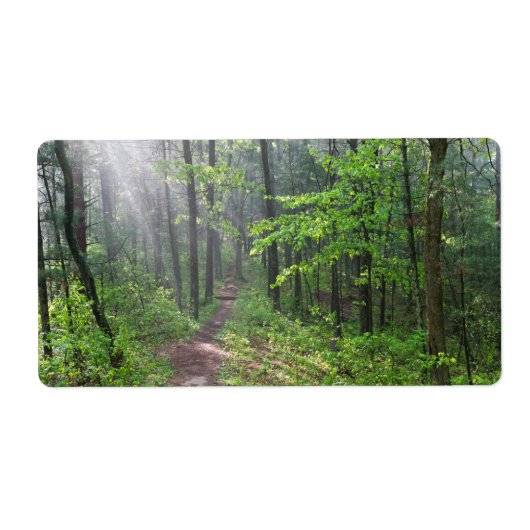 Misty Forest Trail auf dem Burg (Vorne)