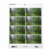 Misty Forest Trail auf dem Burg (Vorne)