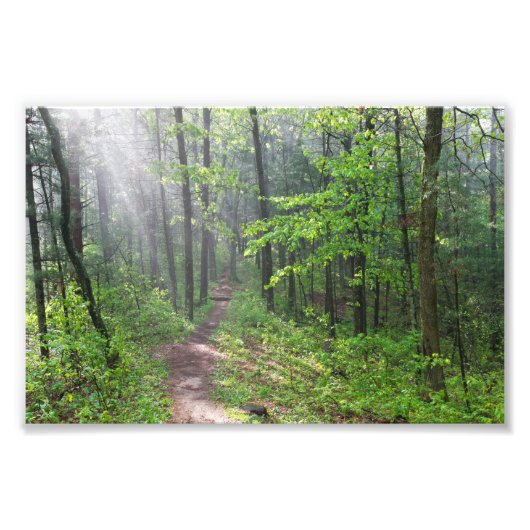 Misty Forest Trail auf dem Burg Fotodruck (Vorne)