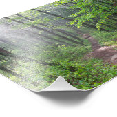 Misty Forest Trail auf dem Burg Fotodruck (Ecke)