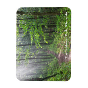 Misty Forest Trail auf dem Burg Magnet