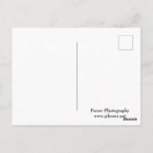 Misty Forest Trail auf dem Burg Postkarte (Rückseite)