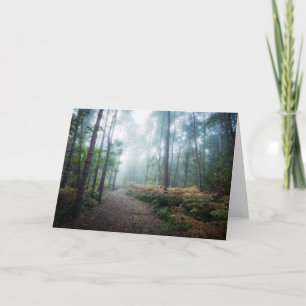 Misty Forest Walk Karte