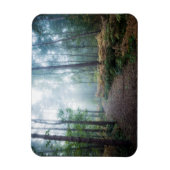 Misty Forest Walk Magnet (Vertikal)