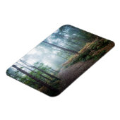 Misty Forest Walk Magnet (Linke Seite)