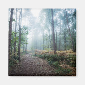 Misty Forest Walk Magnet (Vorne)