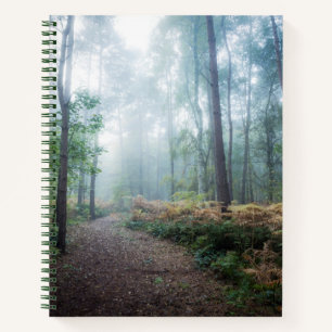Misty Forest Walk Notizblock