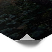 Misty Forest Walk Poster (Ecke)