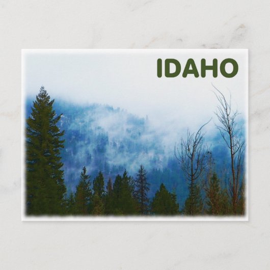 Misty Gray Postkarte (Vorderseite)