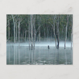 Misty Gumtree Postcard Feiertagspostkarte