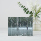 Misty Gumtree Postcard Feiertagspostkarte (Stehend Vorderseite)