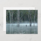 Misty Gumtree Postcard Feiertagspostkarte (Vorne/Hinten)