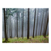 Misty Herbst Forest Relaxation Poster (Vorderseite)