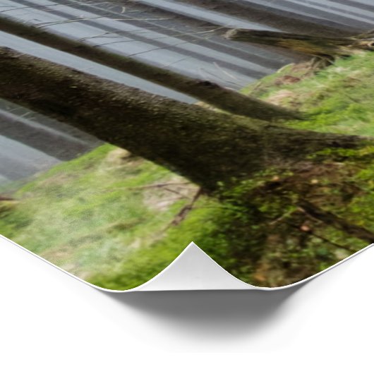 Misty Herbst Forest Relaxation Poster (Ecke)