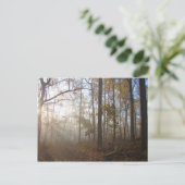 Misty Herbstvormittag im Wald #2 Postkarte (Stehend Vorderseite)