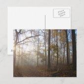 Misty Herbstvormittag im Wald #2 Postkarte (Vorne/Hinten)