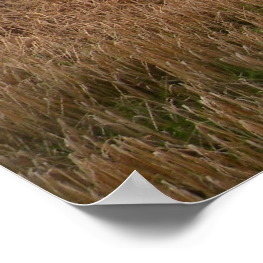 Misty Irish Meadow Print Poster (Ecke)