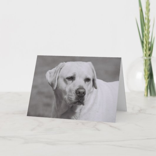 Misty Karte (Vorderseite)