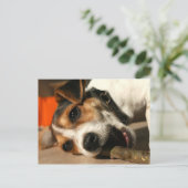 Misty - Keuchhalter-Postkarte Postkarte (Stehend Vorderseite)