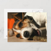 Misty - Keuchhalter-Postkarte Postkarte (Vorne/Hinten)