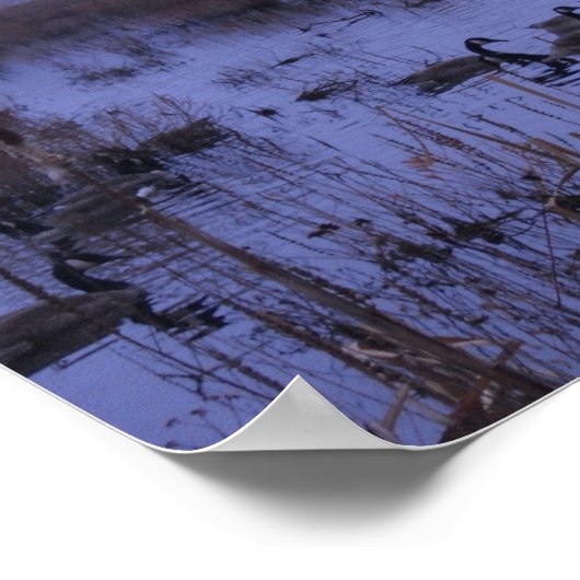 Misty Marsh Foto Poster (Ecke)