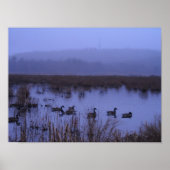 Misty Marsh Foto Poster (Vorne)
