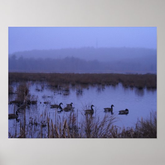 Misty Marsh Foto Poster (Vorne)