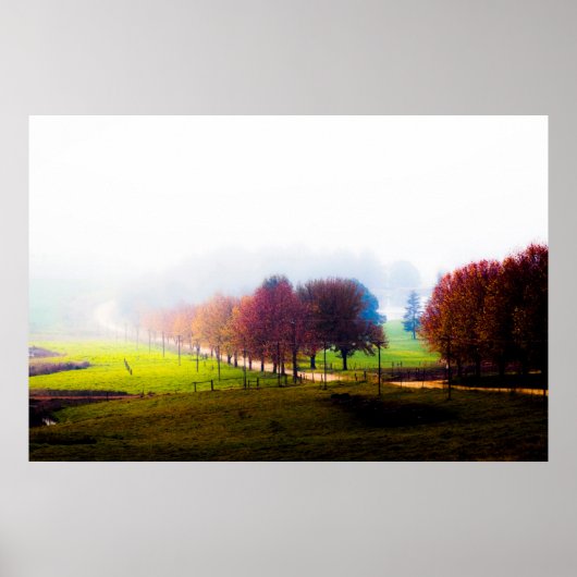 Misty Meadow in Autumn Poster (Vorne)