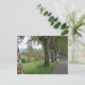 Misty Morgens in der Provence Postkarte (Stehend Vorderseite)