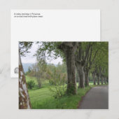 Misty Morgens in der Provence Postkarte (Vorne/Hinten)