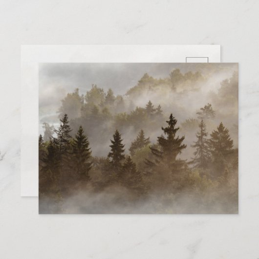 Misty morning at the valley postkarte (Vorne/Hinten)