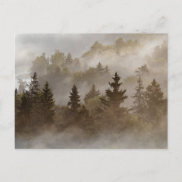 Misty morning at the valley postkarte