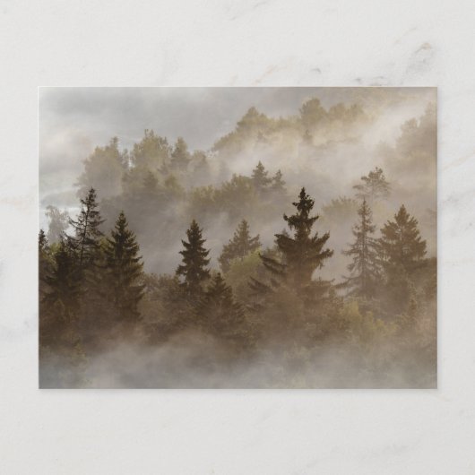 Misty morning at the valley postkarte (Vorderseite)