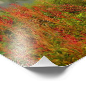 Misty Morning in Kenmore Fotodruck (Ecke)