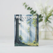 Misty Morning in Redwood National Park Postkarte (Stehend Vorderseite)
