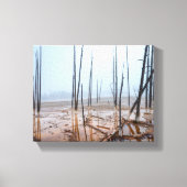 Misty Morning in Yellowstone Leinwanddruck (Vorderseite)